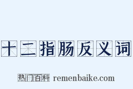 十二指肠反义词是什么意思的图片